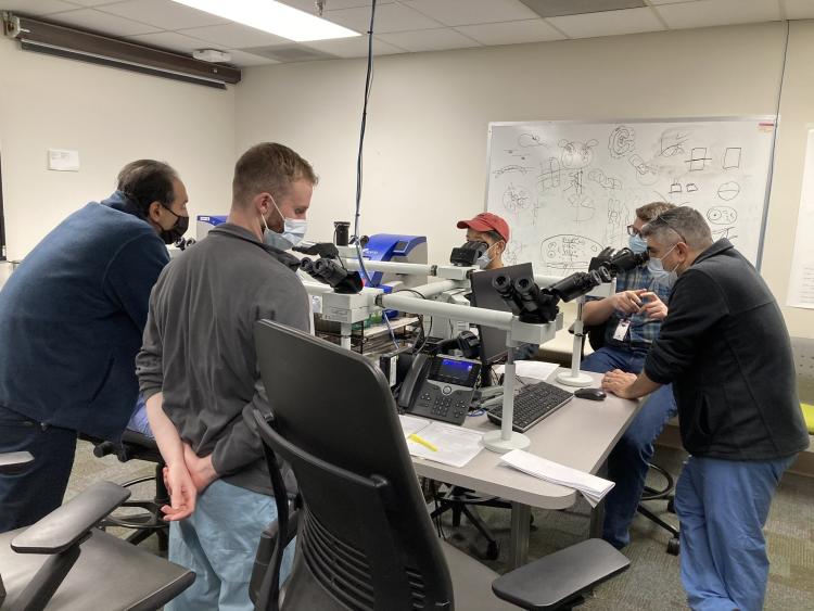 GI team reviewing biopsy slides