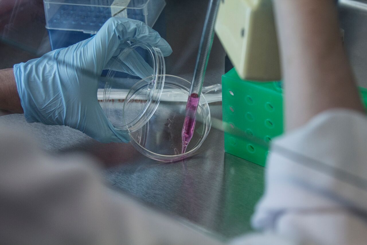lab imiage 