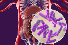 microbiome image