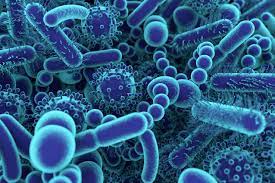 Microbiome