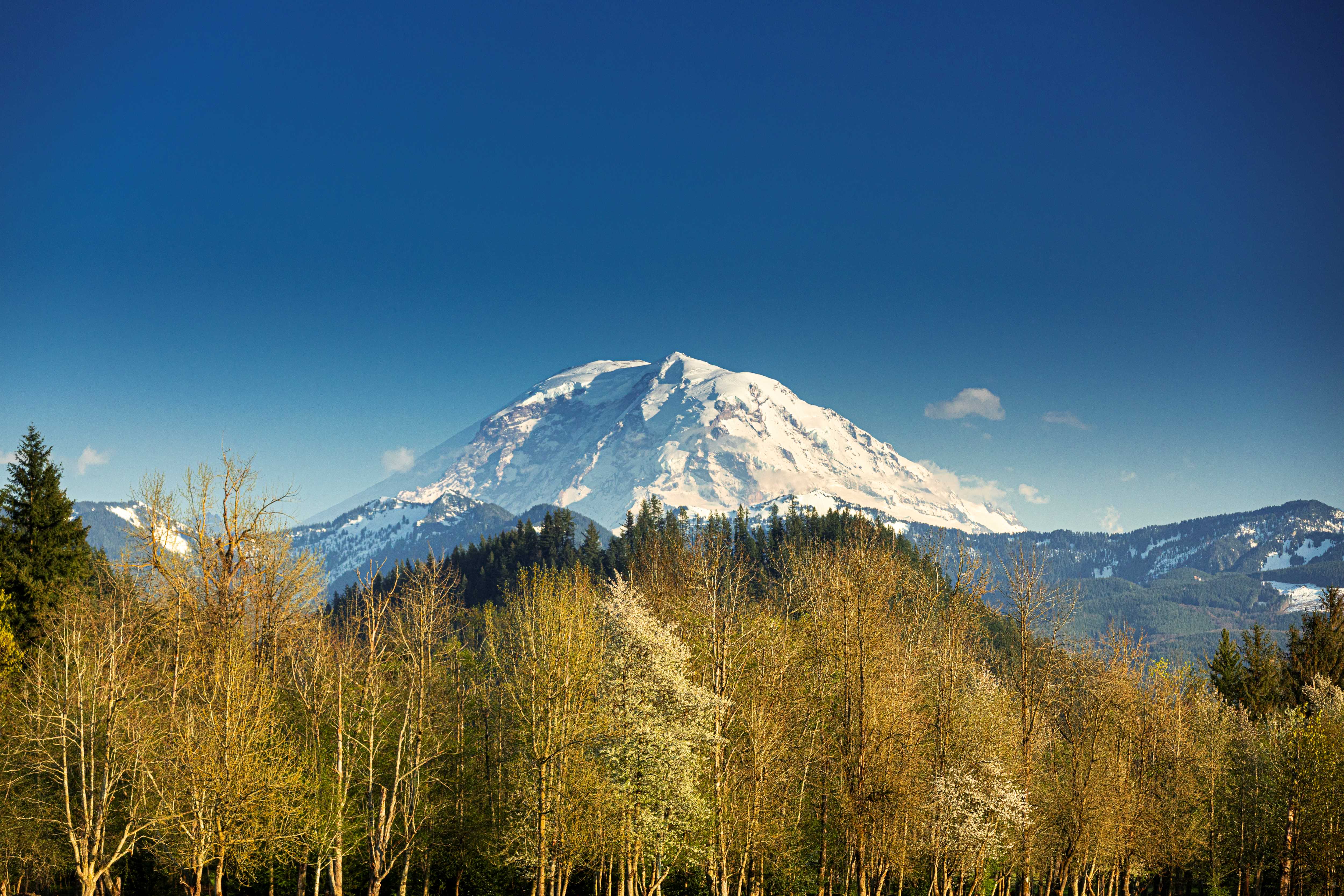 Mt. Rainier over white river valley