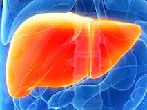 Liver image