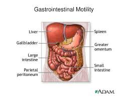 motility image