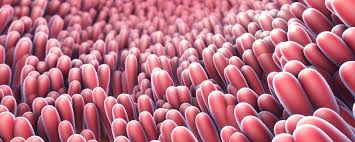 Celiac disease