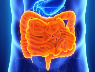 IBD image