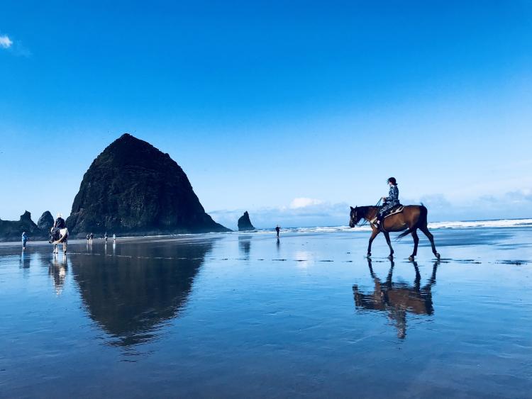 Horseback rider on beach