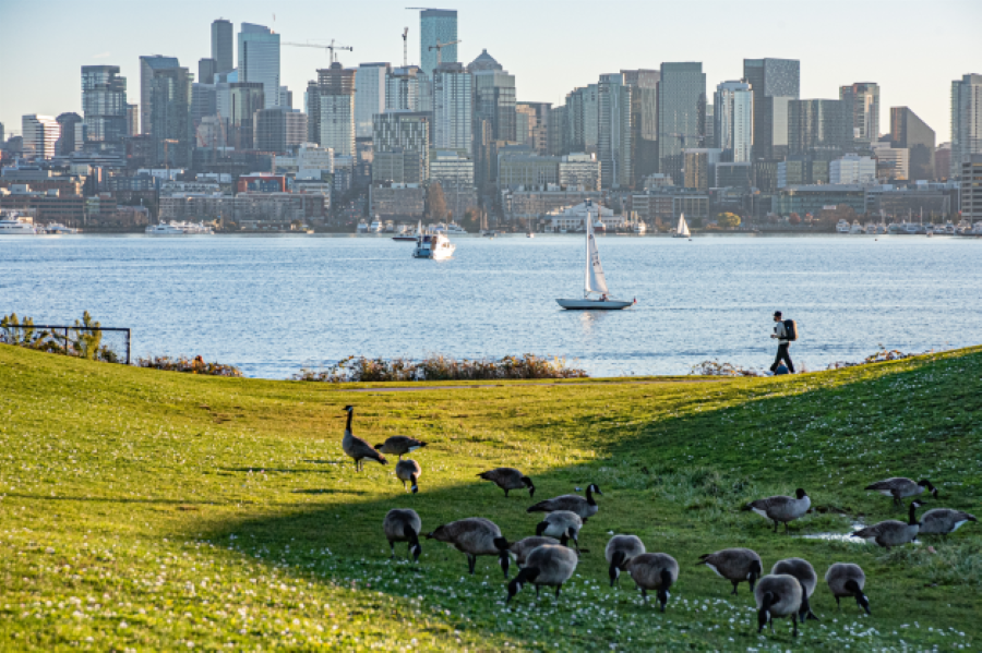Space needle over lake union